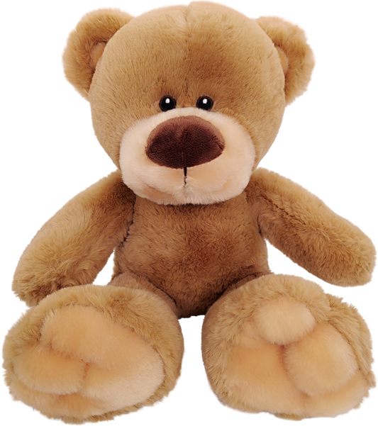 Anico 13" Pick-A-Pet Plush Bear