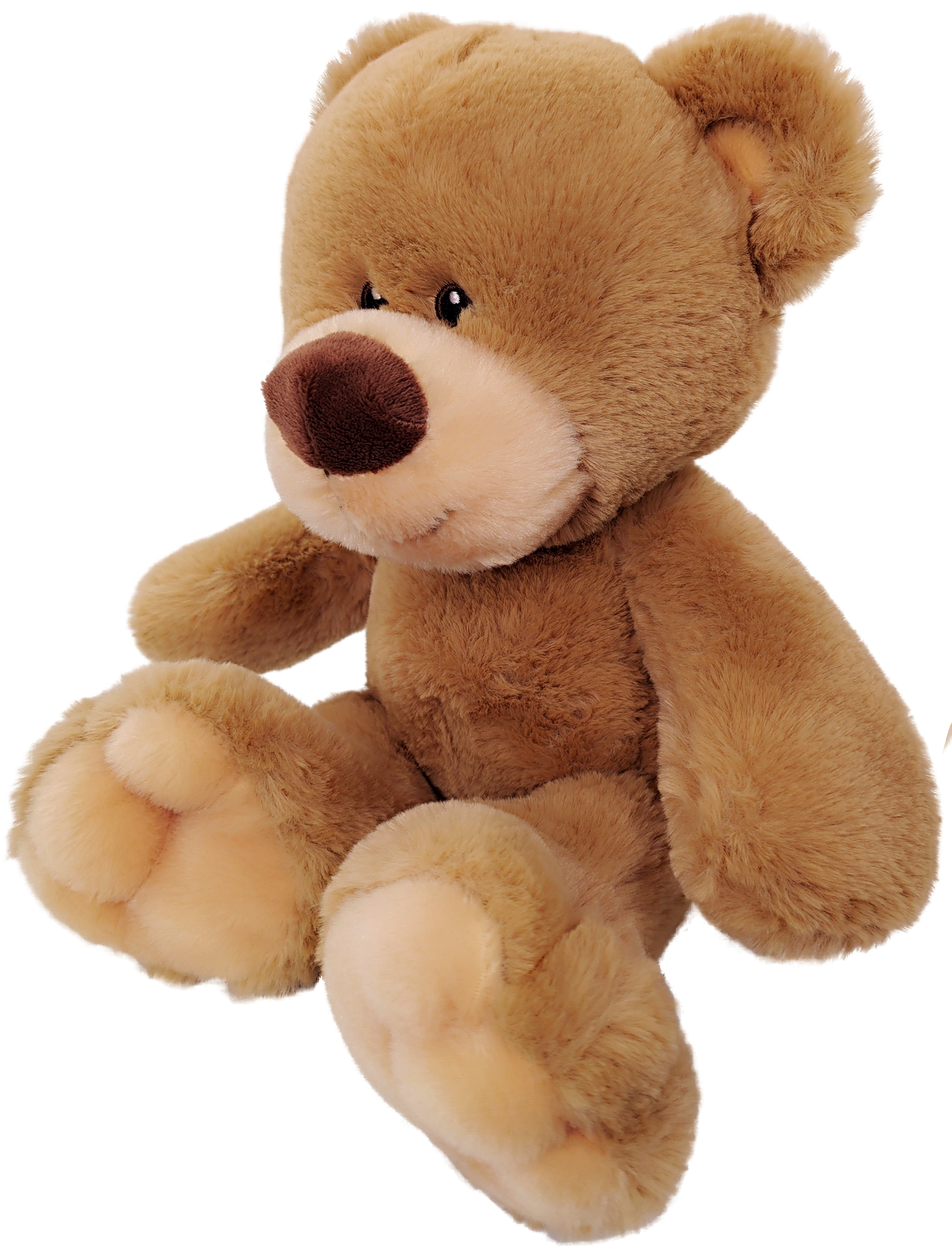 Anico 13" Pick-A-Pet Plush Bear